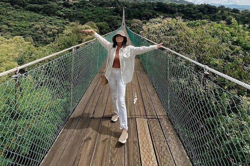 A person standing on a wooden suspension bridge with green netting, surrounded by lush greenery. 5