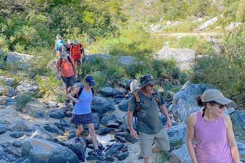 Un grupo de personas caminando por un sendero rocoso rodeado de vegetación. 5