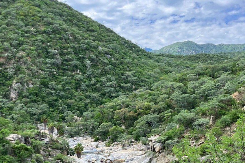 Un valle verde exuberante con un río, terreno rocoso y vegetación densa. 4
