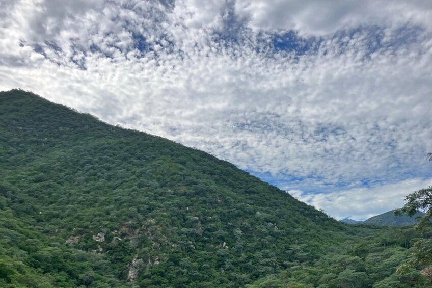 Una montaña verde exuberante con densa cubierta forestal y un cielo parcialmente nublado. 3