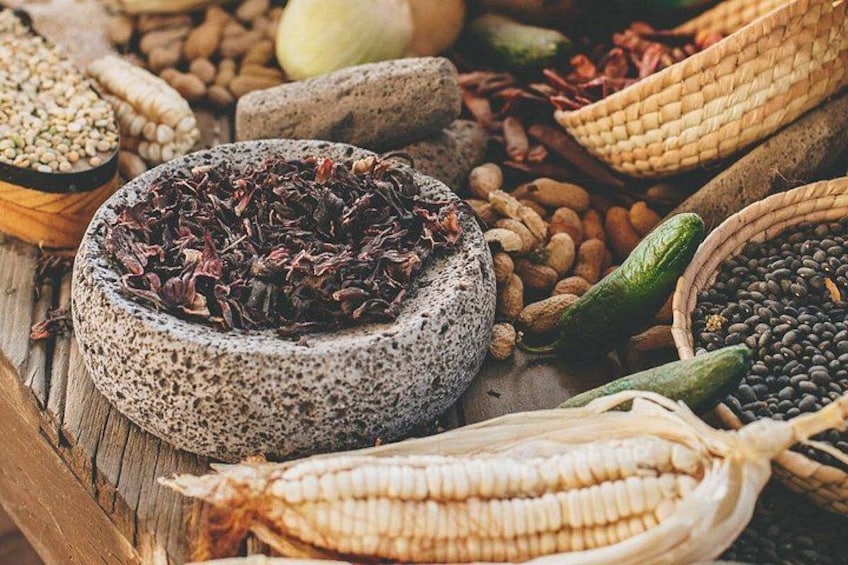 Mexican Cooking Class and Garden Tour in Cabo San Lucas 4