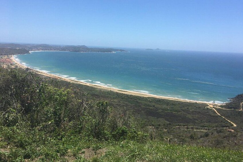 A coastal landscape with a beach, ocean, and vegetation. 5