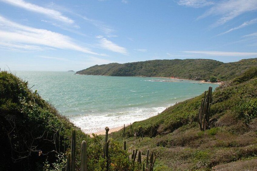 A coastal landscape with a beach, cacti, and a hilly backdrop. 4