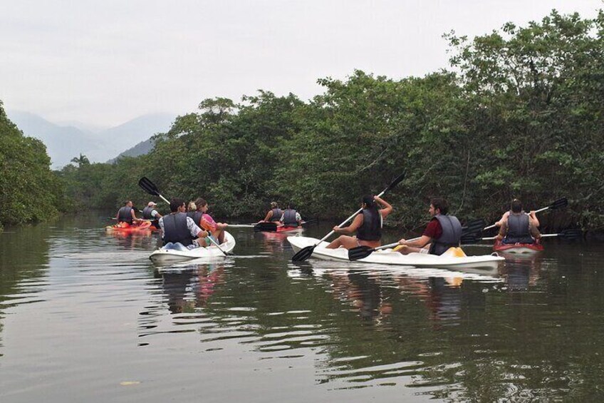 Kayaking Mangroves tour 1