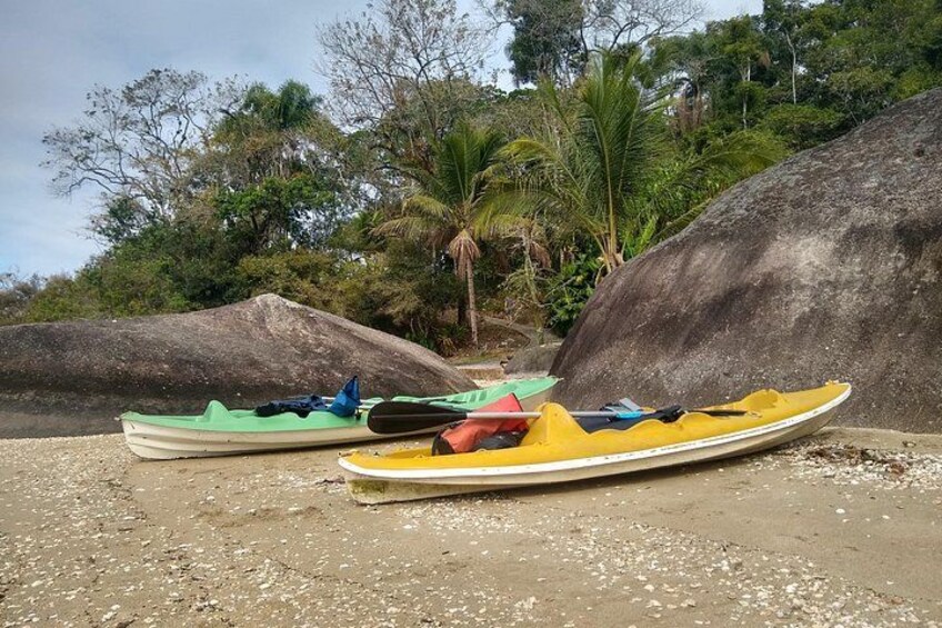 Kayaking Mangroves Natural reserve. 3