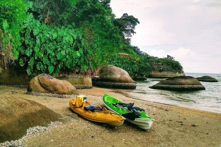 Kayaking Mangroves Natural reserve. 2