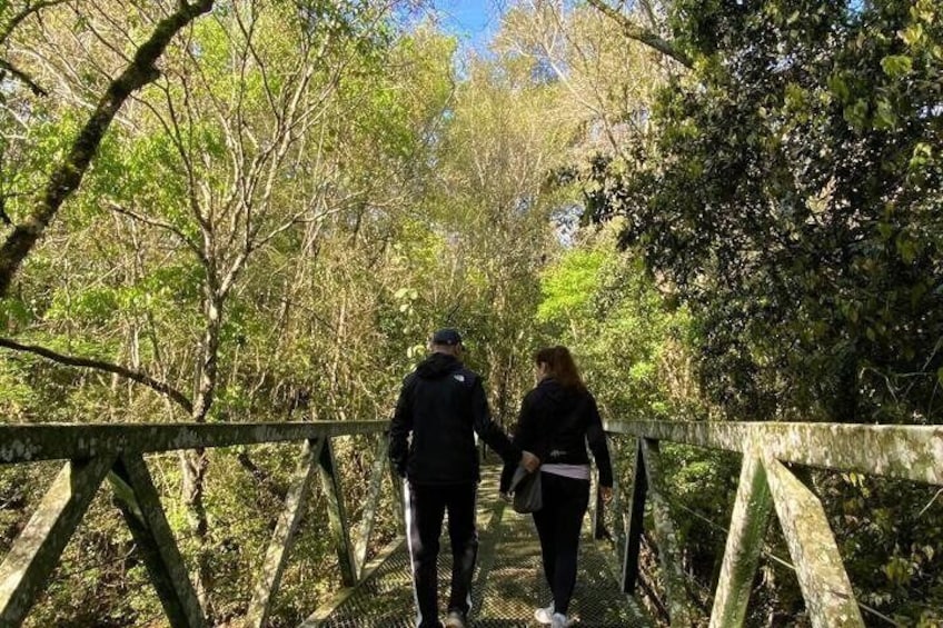 Bathing in the Forest Trail in Foz do Iguaçu 1