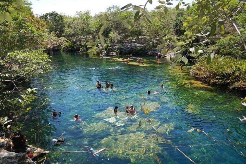A clear river surrounded by dense vegetation. 2