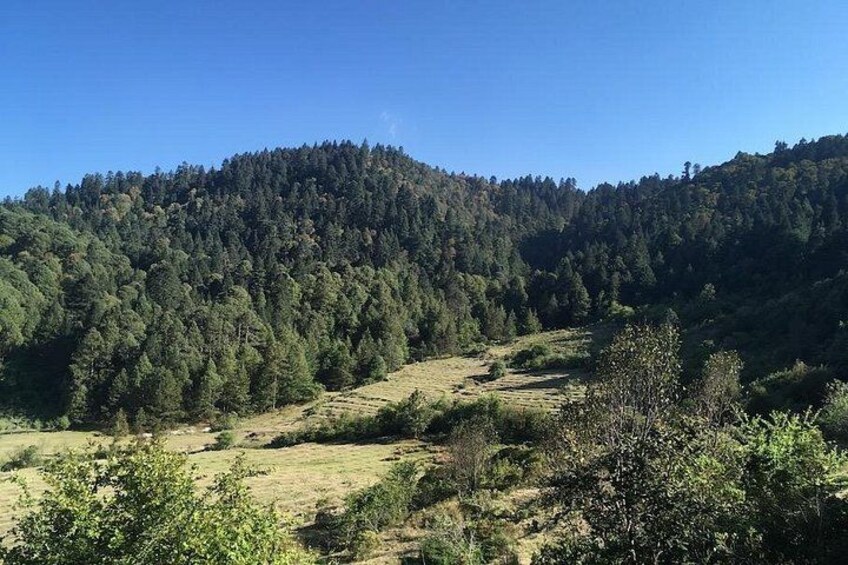 Nature. 2