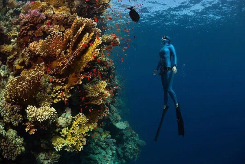 Underwater Photoshoot in Cenotes Cancun to Tulum 4