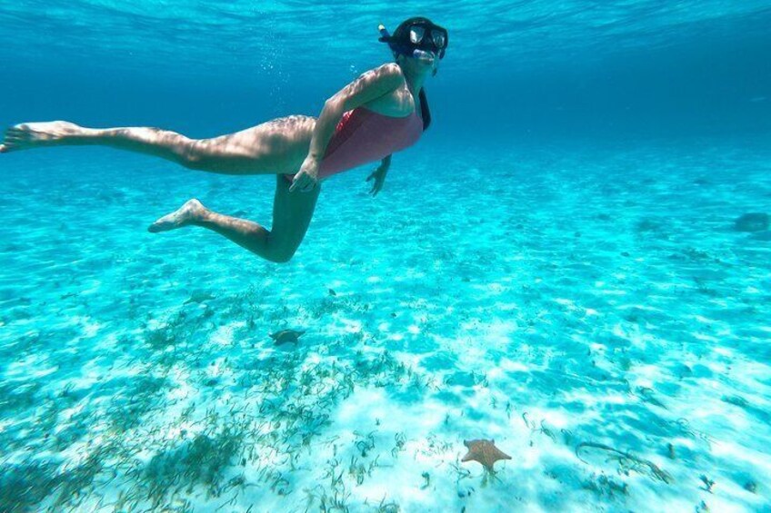 A person swimming underwater in clear blue water. 1