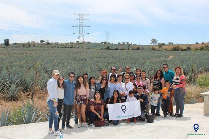 Tour to Tequila and Los Cantaritos de Amatitán from Guadalajara 2