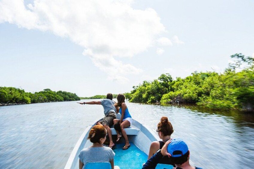 A group of people on a boat in a river surrounded by greenery. 3