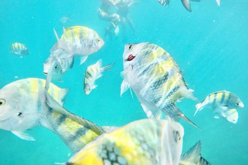 Snorkeling Santa Maria 1