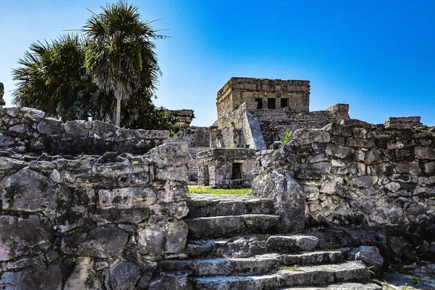 Private Tulum Ruins, Turtles in Akumal and Cenote Adventure 2