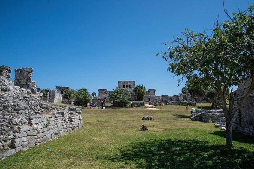Tulum honored the “diving god” or “descending god” and “the god of the bee”, an important insect for the Maya even today. 4