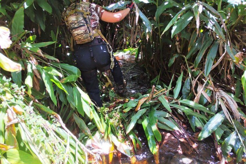 Private Jungle Waterfall Adventure, Wit Da Native Hawaiian Dundee 2