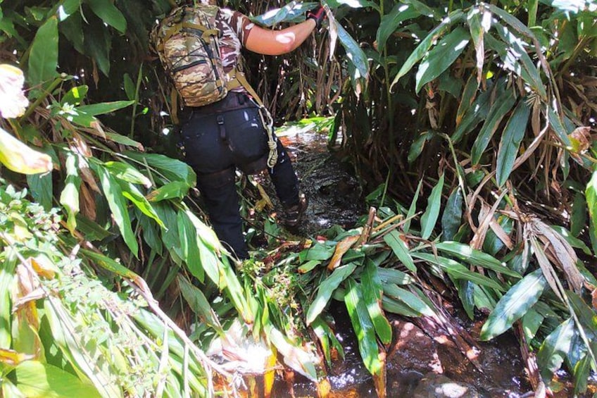 Private Jungle Waterfall Adventure, Wit Da Native Hawaiian Dundee 2