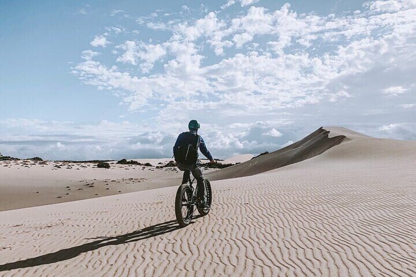 2-Hour Electric Fat Bike Tour in Kangaroo Island