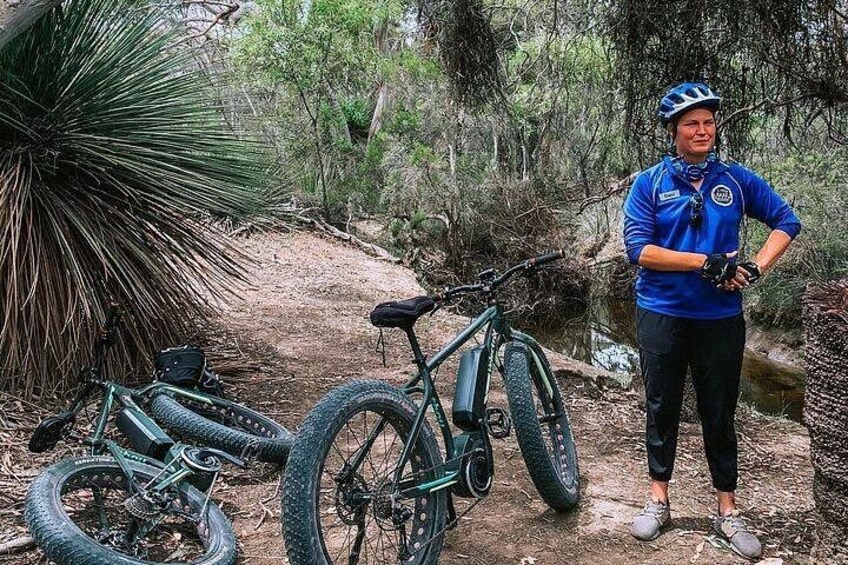 A person standing next to a mountain bike and a bicycle with large tires, surrounded by trees and a dirt path. 3