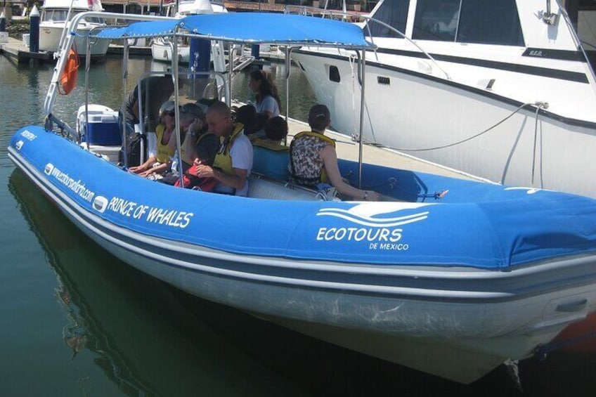 En båd med teksten 'ECOTOURS DE MEXICO' og 'PRIVÉ OF WHALES'. 2