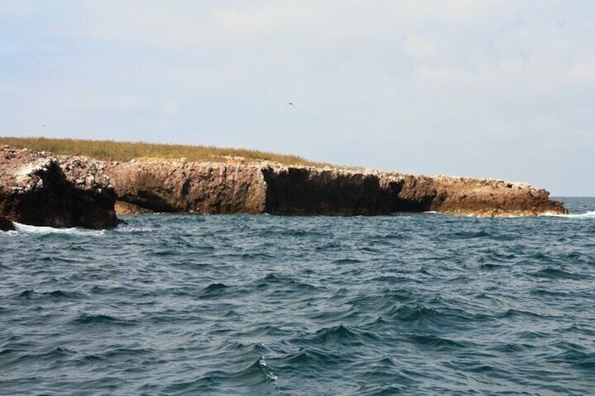 Marietas Islands snorkeling & Hidden beach (w/ restriction) 3