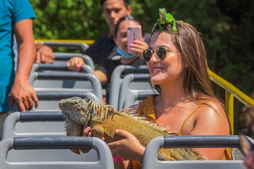 Hop On Hop Off Tour with Free Stops in Puerto Vallarta 2