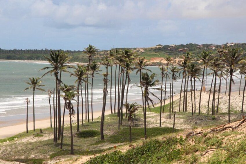 Lagoinha Beach Tour 4