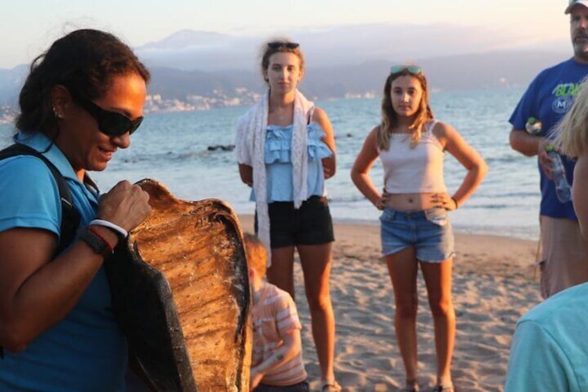 A group of people on a beach with a large piece of driftwood. 5