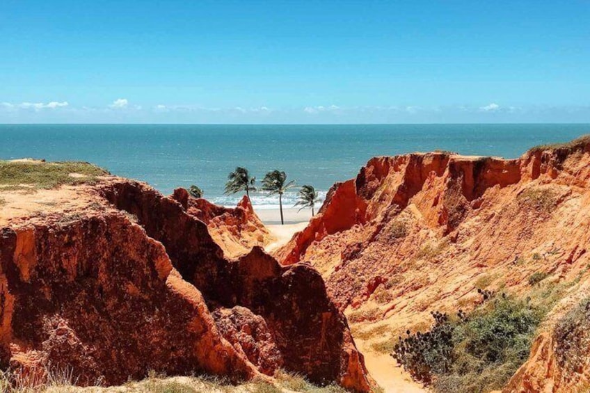 Walk to Morro Branco Beach & Praia das Fontes 4