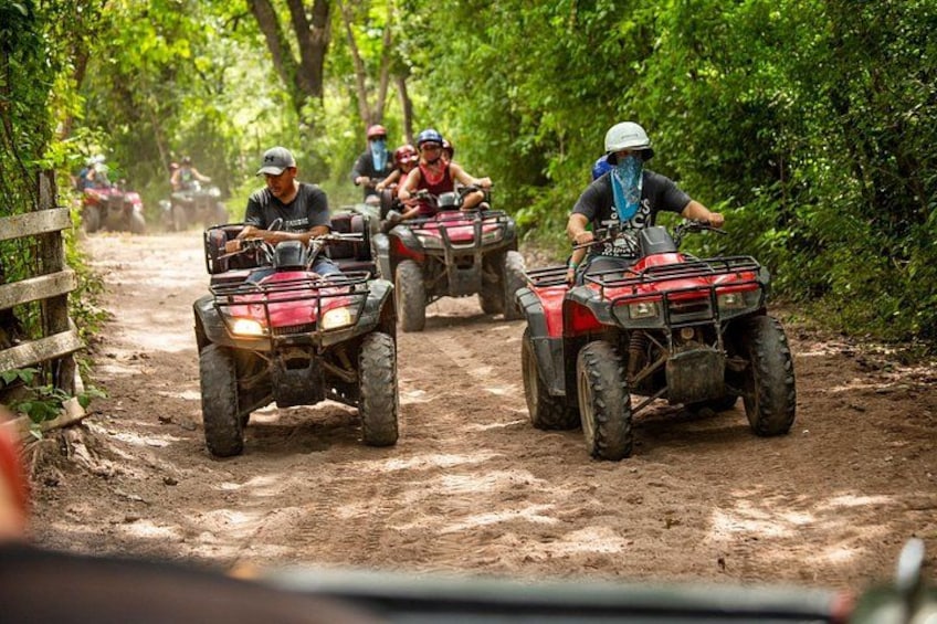 A group of people riding ATVs on a dirt path surrounded by trees. 2