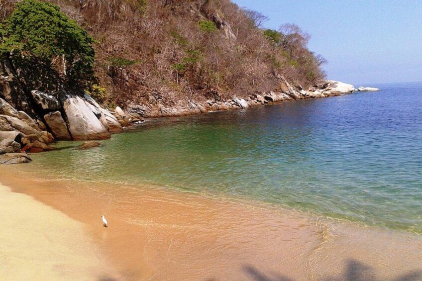Private Los Arcos & Colomitos Snorkeling Experience 3