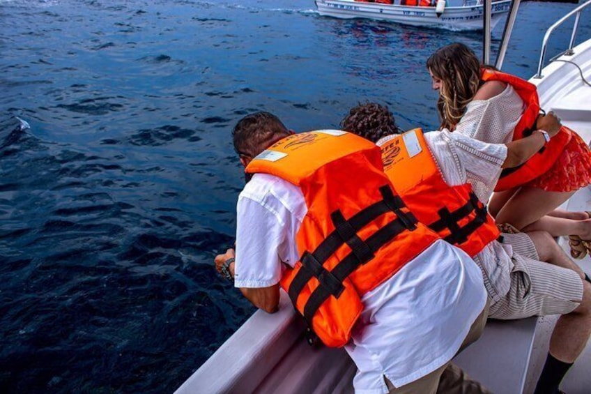 Cabo San Lucas Arch Private Boat Tour 3