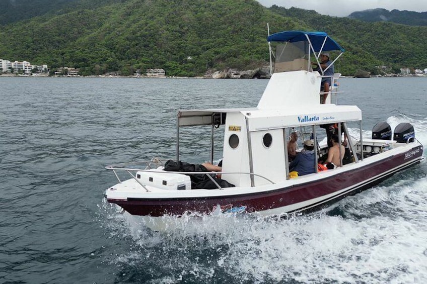 Scuba Diving Puerto Vallarta Undersea Arcos or Marietas 5