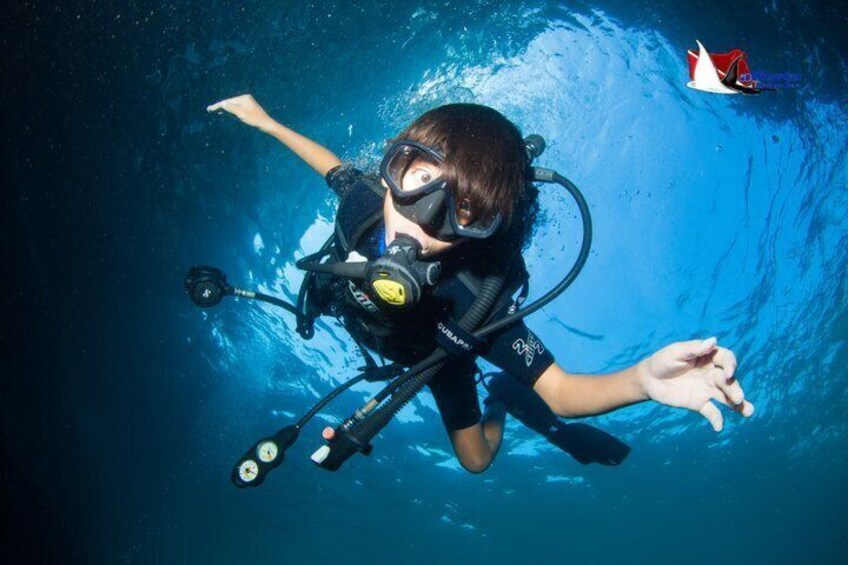 Scuba Diving Puerto Vallarta Undersea Arcos or Marietas 2
