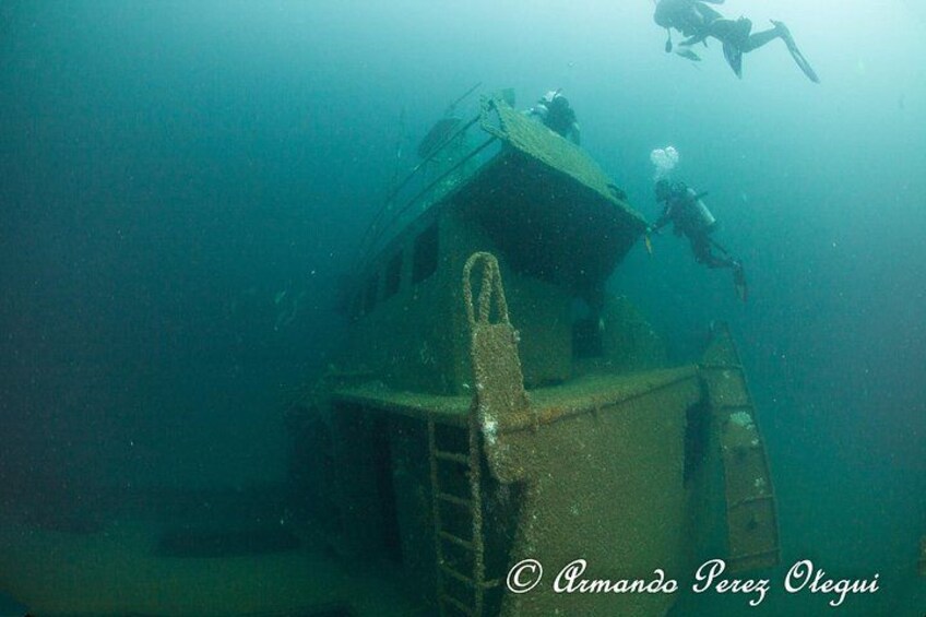 A diver exploring an underwater structure with a ladder and a platform. 4