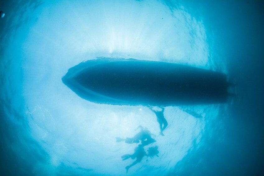 Scuba Diving Puerto Vallarta Undersea Arcos or Marietas 4