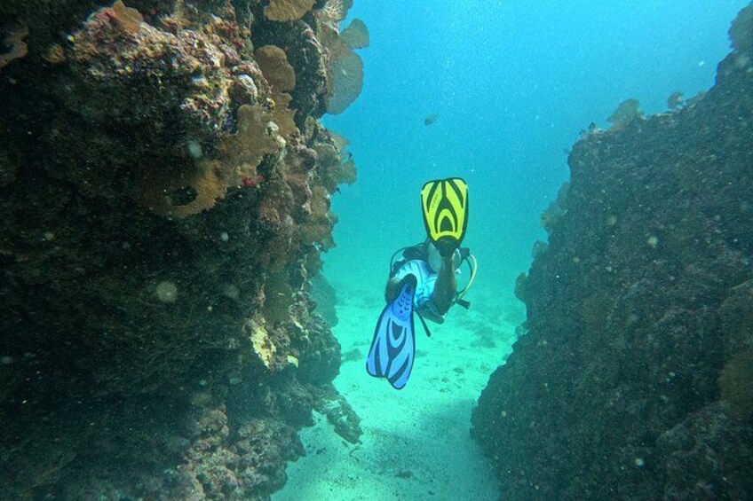 A diver with fins and a mask exploring a coral reef. 2