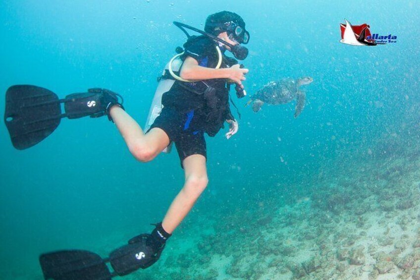Scuba Diving Puerto Vallarta Undersea Arcos or Marietas 4