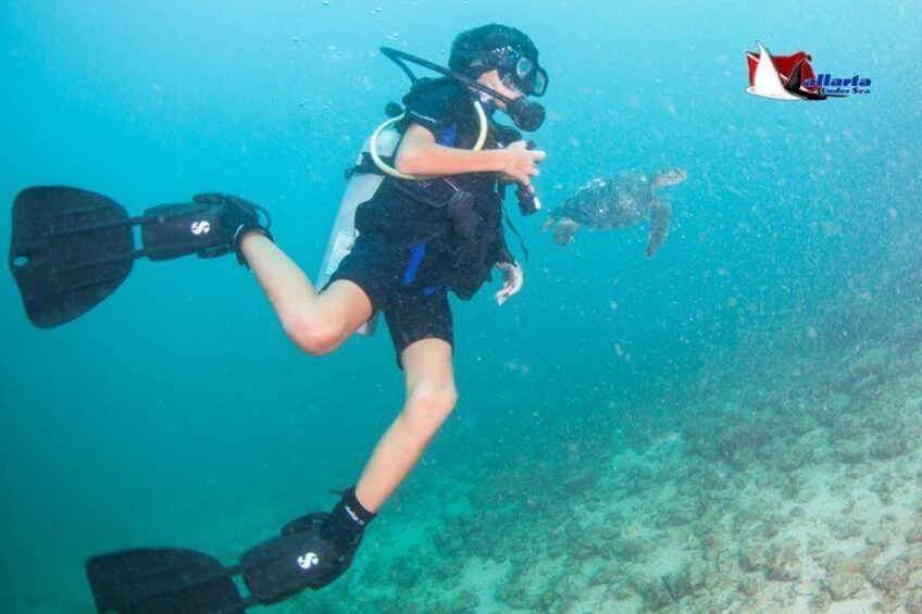 Scuba Diving Puerto Vallarta Undersea Arcos or Marietas 4
