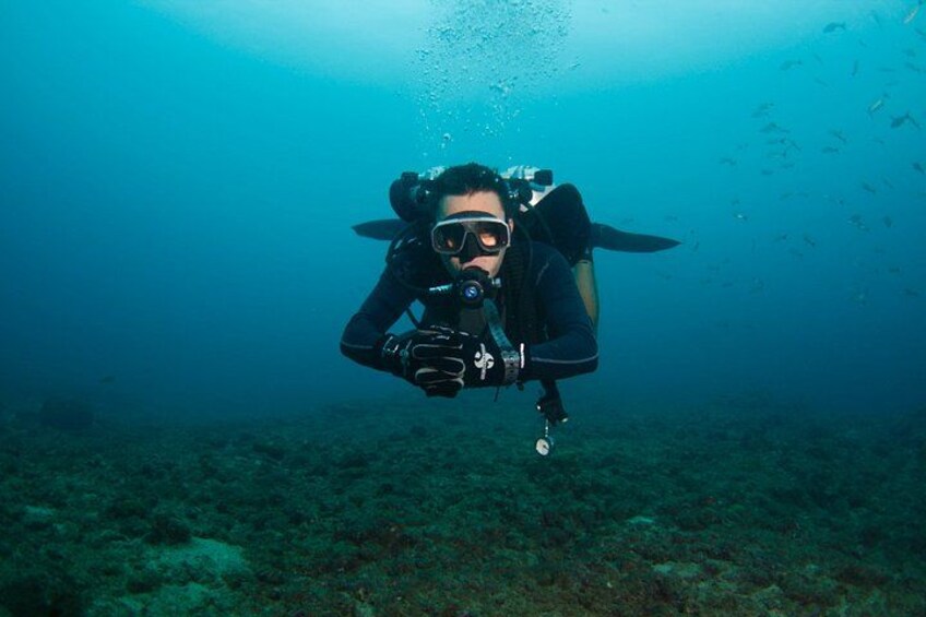 A diver underwater, surrounded by marine life. 3