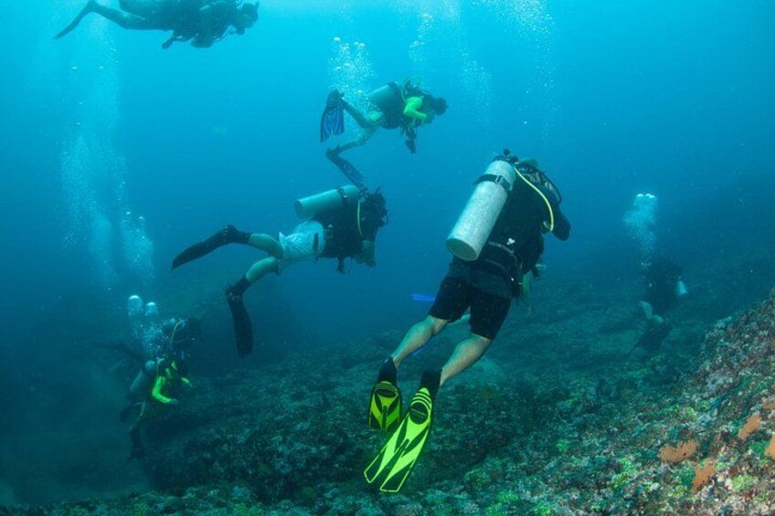 Scuba Diving Puerto Vallarta Undersea Arcos or Marietas 5