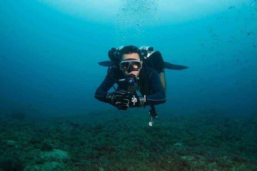 A diver underwater with a scuba tank and fins. 2