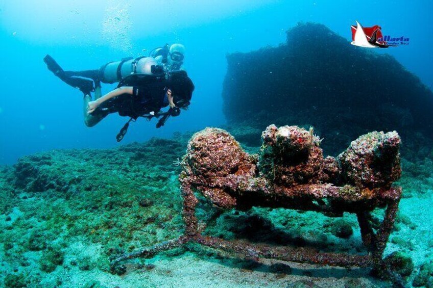 A diver exploring a submerged shipwreck with coral growth. 1