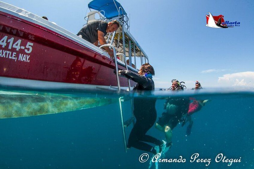 Scuba Diving Puerto Vallarta Undersea Arcos or Marietas 2