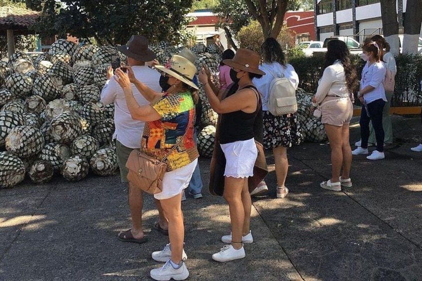 Un grupo de personas hacen fila, algunas tomando fotos, con una gran pila de cocos al fondo. 1