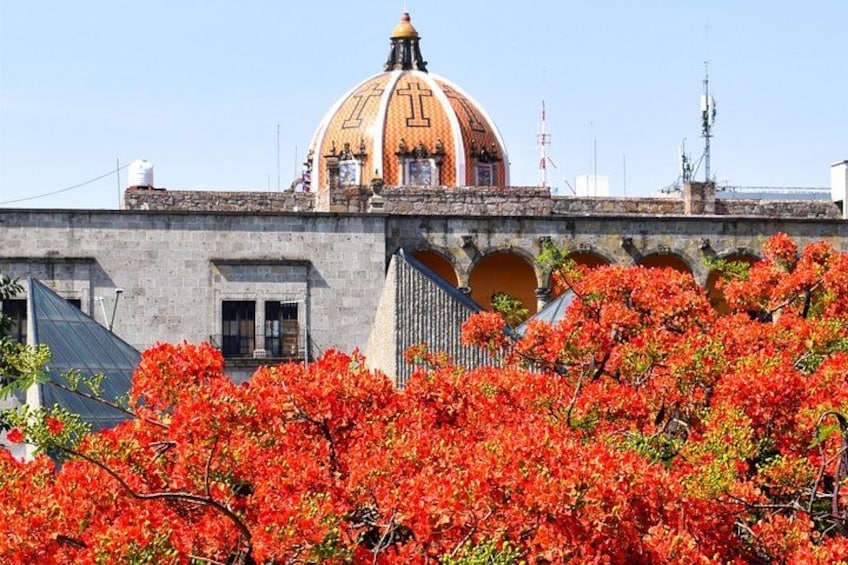 Un edificio con una cúpula y arcos, rodeado de árboles con flores rojas. 3