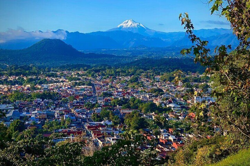 Xalapa and Coatepec Cultural Tour from Veracruz