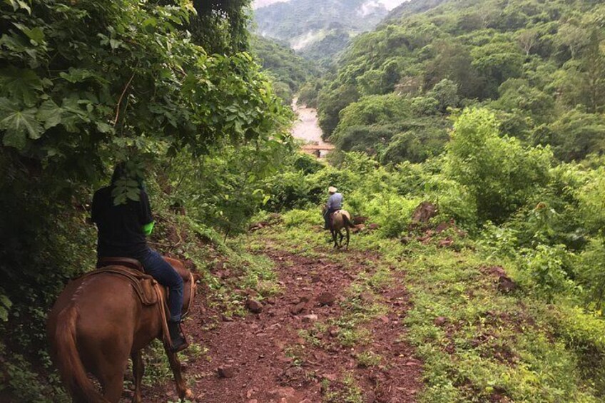 Two people riding horses on a dirt path surrounded by dense greenery. 3