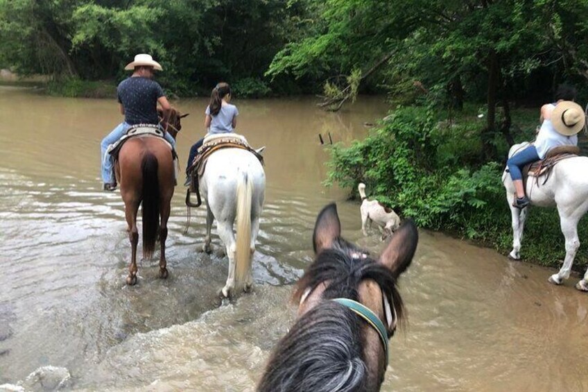 Horseback Riding Experience in Sierra Madre Mountains